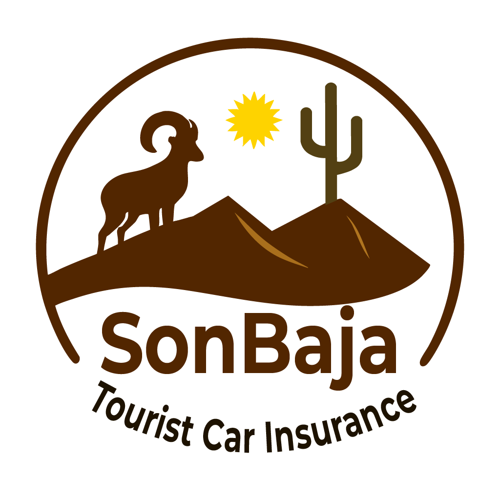 SonBaja
